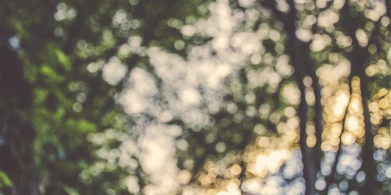 Shopify独立站 vs 亚马逊全球开店：海外购物与代购服务卖家的终极选择指南