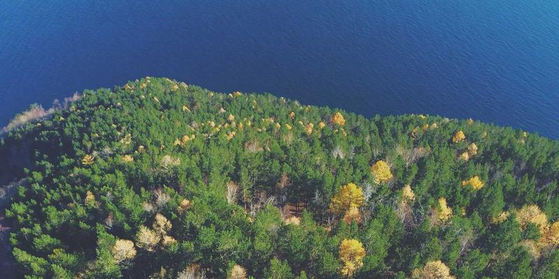 海外保健品科学购物指南：巧用代购服务与购物代理，掌握成分、剂量与全球监管