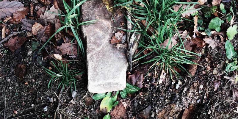 海外古董车与老爷车购买入门：从代购服务、法律文件到国内上牌全流程详解