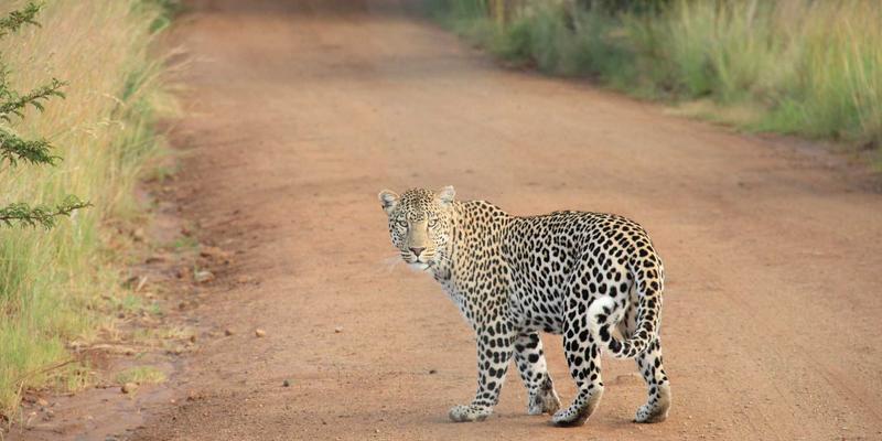 海外家具大件购物全流程避坑手册：从尺寸测量、国际海运到本地安装的专业指南