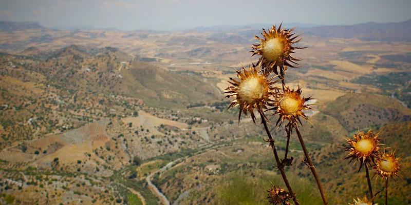 海外直播购物新浪潮：如何通过TikTok Shop与韩国平台直购，告别传统代购服务