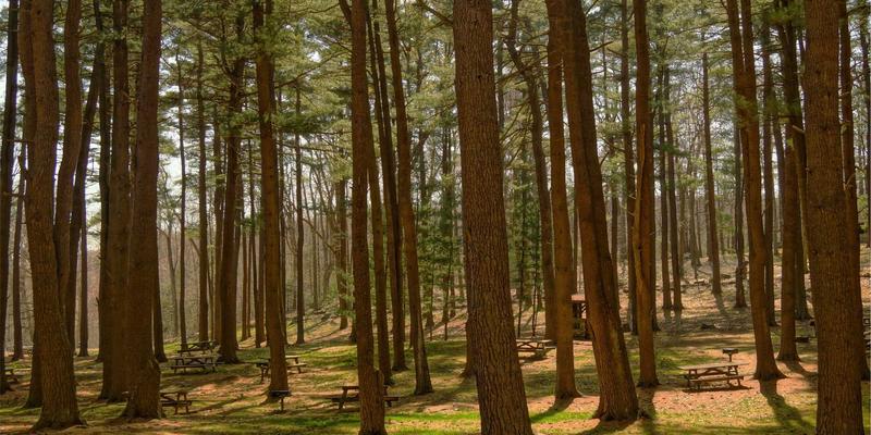 海外购物73时代：全球商品触手可及，代购服务如何重塑国际购物体验？