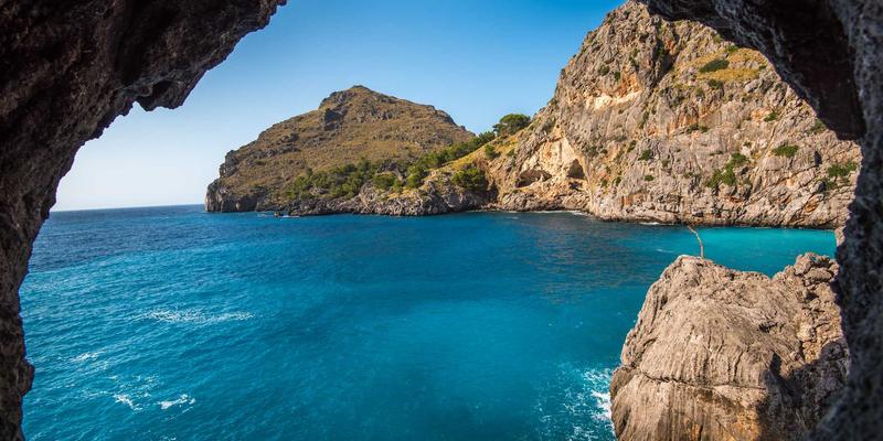 海外购物信用卡终极指南：如何挑选免货币转换费且返现高的国际信用卡，让购物代理与代购服务更省钱