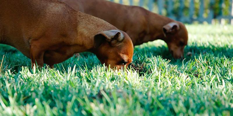 海外购物全攻略：解锁全球好物与专业代购服务