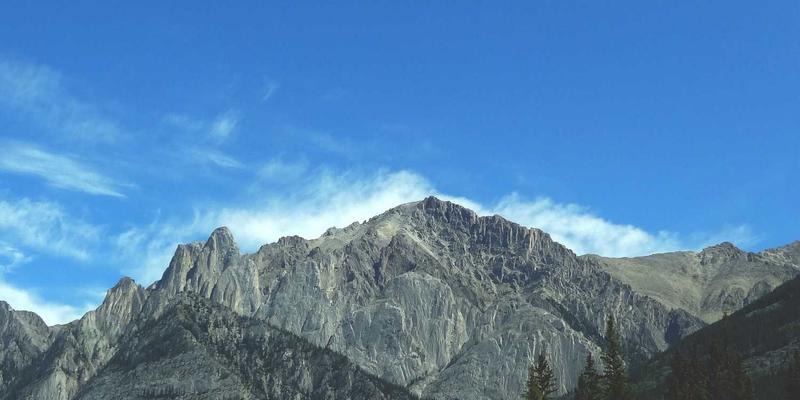 海外购物如何选择合适的转运公司？对比服务、线路、价格与避坑要点，圣罗莎市场购物必看指南