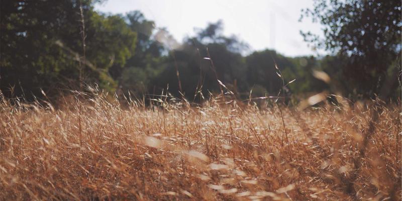 海外购物尺寸全攻略：服装、鞋履、戒指国际尺码对照，告别代购服务中的尺码困扰