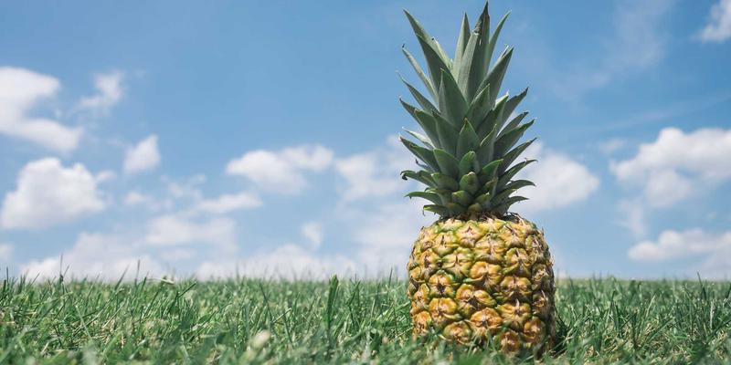 海外购物新浪潮：从购物代理到圣罗莎市场，解锁全球好物的智慧攻略