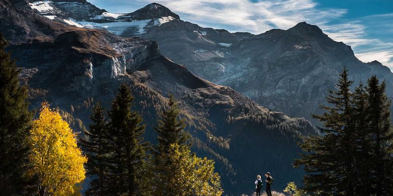 海外购物新趋势:国际购物与购物代理如何解锁圣罗莎市场